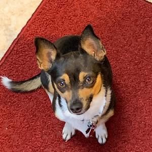 Meet your Posher, Mike